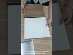 Εργοστάσιο προϊόντων αργιλίου, ευπρόσδεκτη προσαρμογή